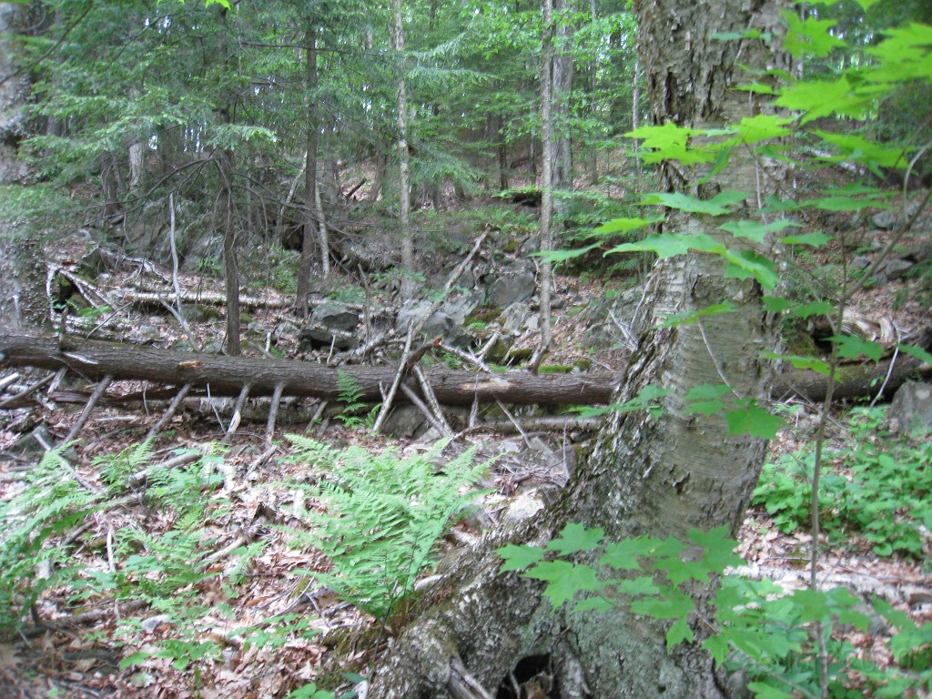 Old Hill Village - South End 580.jpg - In February 1937, residents of Hill Village NH learned that their village, near the Pemigewasset River, was to become a flood control reservoir for the Franklin Falls dam project. To accommodate the construction of the Franklin Falls Dam, the village of Hill NH was to be relocated. By January of 1940, the citizens of Hill NH formed an association, purchased land, and began planning a new model village with the help of the NH State Planning and Development Commission. Construction started in 1940, and by June of 1941 the new town hall and school were completed, along with the streets, water system, and 30 houses. The 1941 town meeting was called to order in the old town hall, recessed, and reconvened in the new village.
